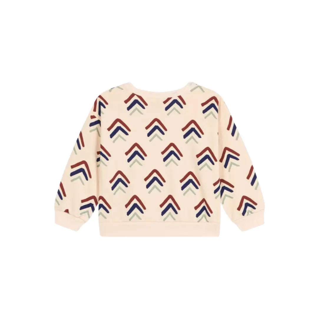 FELPA IN MOLLETON STAMPATO BAMBINO PETIT BATEAU (8853648212308) (9670055493959)