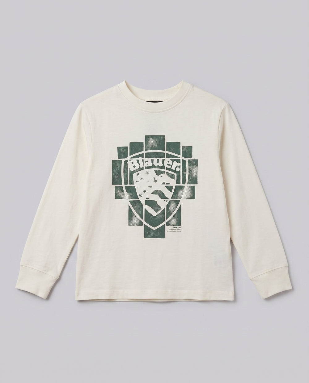 Felpa con Cappuccio Blauer Kids grigia con scritta da bambino 8 anni – fronte